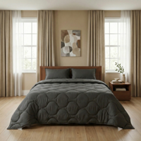 Wasbaar Lazy Dekbed Zonder Overtrek - Zonder Overtrek - Antraciet - Dekbed-Discounter.nl