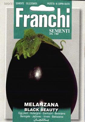 Aubergine, Melanzana Black Beauty 90/21 - Franchi