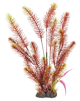 Superfish Art Plant 40 cm Myriophyllum red