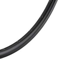Velg Ryde ZAC 2000 disc 28" / 622*19C aluminium - 36 gaats 14G - mat zwart