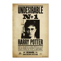 Poster Harry Potter Undesirable No 1 61x91,5cm