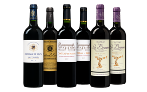 Het beste van Bordeaux Pakket
