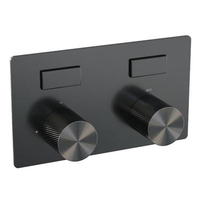 BRAUER gunmetal Carving - 2 functies - inbouwthermostaat - drukknoppen - in/afbouwdelen - gunmetal geborsteld PVD 5-GM-157