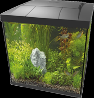 Superfish Start Qube 60 kit zwart