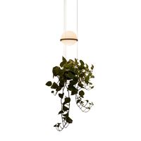 Vibia - Palma 3724 hanglamp