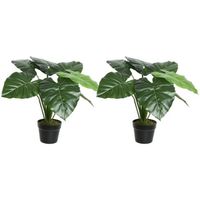 2x Groene taro kunstplanten 52 cm met zwarte pot - Kunstplanten - thumbnail