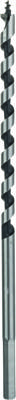 Bosch Accessoires Houtslangenboor, zeskant 6 x 100 x 160 mm, d 4,8 mm 1st - 2608585694