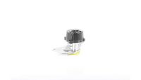 Onderdrukpomp, remsysteem BSG70235001