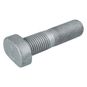 Wielbout 107536
