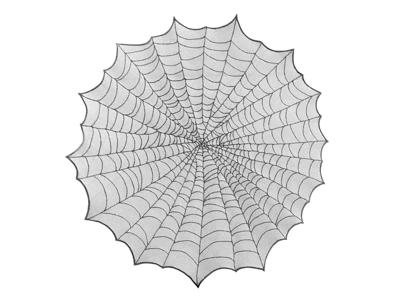 Tafelkleed Rond Spinnenweb (124cm)