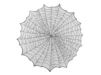 Tafelkleed Rond Spinnenweb (124cm)