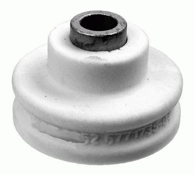 Veerpoot 3541901