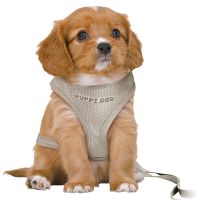 TRIXIE HONDENTUIG JUNIOR PUPPY SOFTTUIG MET RIEM LICHTGRIJS 36-50X1 CM / 2 MTR