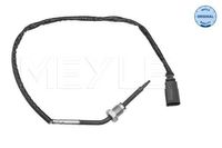 Sensor, uitlaatgastemperatuur 1148000176