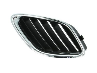 Radiateurgrille 6502076522993P