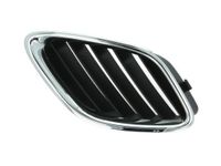 Radiateurgrille 6502076522993P