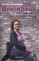 BreinStuk (Paperback)