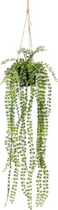 Hangplant met pot 4 - Driesprong Collection