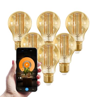 Set van 6 Smart E27 LED Filament Lamp - 7 Watt 806 lumen - A60 Amberkleurig glas - 1800-3000K Dimbaar