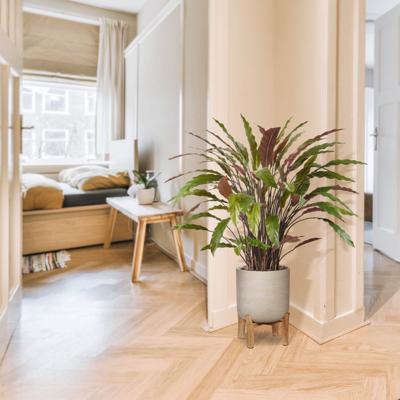 Calathea kunstplant 85cm - groen/rood