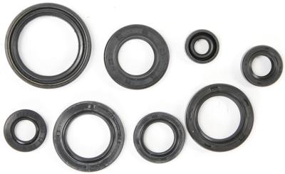 ATHENA Motorshield ns 125 r,