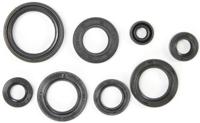 ATHENA Motorshield ns 125 r,