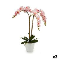 Decoratieve plant Ibergarden Plastic Orchidee 40 x 77 x 35 cm 40 x 78 x 35 cm 40 x 78 x 44 cm (2 Stuks)