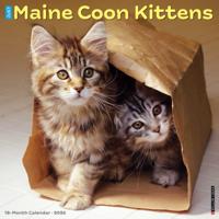 Maine Coon Kittens Kalender 2026