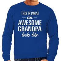 Awesome grandpa / opa cadeau sweater blauw heren