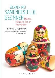 Werken met samengestelde gezinnen (Paperback)