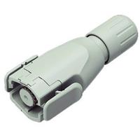 binder 99 1721 002 12 Ronde connector Stekker, recht Totaal aantal polen: 12 1 stuk(s)