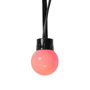 Nedis WIFILP02C48 decoratieve verlichting Lichtdecoratie ketting Zwart 48 lampen LED 5,65 W G