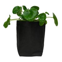 QUVIO Plantenzak uitwasbaar 10x10x20cm - Zwart - thumbnail