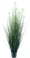 Mini dill weed grass in pot green 122cm