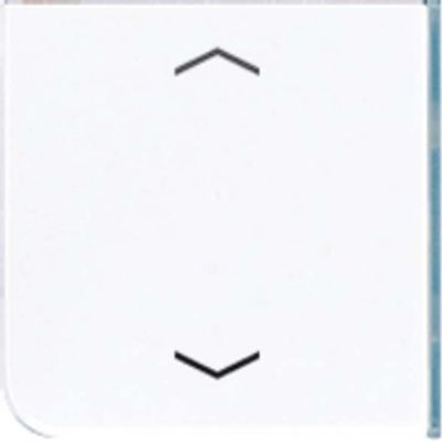 CD 404 TSAP WW 23  - Cover plate for switch white CD 404 TSAP WW 23