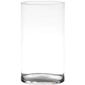 Bloemenvaas Neville - helder transparant - glas - D14 x H21 cm