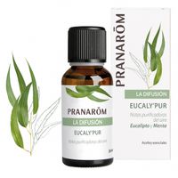 Pranarôm 5420008525414 aroma-essence 30 ml CEDAR, Eucalyptus, Menthol, Munt, Pepermunt, Den, Vetiver Geurverspreider - thumbnail