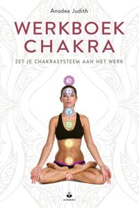 Werkboek chakra (Paperback)