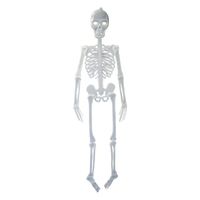 Hangdecoratie skelet glow in the dark 150 cm   -