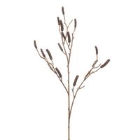 Callistemon branch brown 118 cm - thumbnail