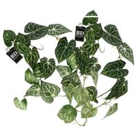 Bellatio Design kunstplant/hangplant slinger - 2x - Anthurium - groen - 109 cm