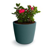 Plantenpot/bloempot Buckingham - buiten/binnen - kunststof - zeeblauw - D14 x H13 cm