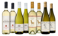 Sauvignon Blanc Wijnpakket Sauvignon Blanc Wijnpakket