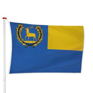 Vlag Epe