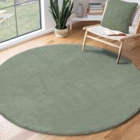 Karpet24 Loft - Luxe, Fluweelzacht Effen Vloerkleed in Mintgroen, Modern & Stijlvol-Ø 200 cm rond