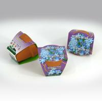 Greengift Terracotta Vergeet me niet