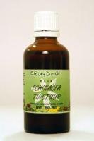Natura Sanat Cola vera fructus / colanoot tinctuur