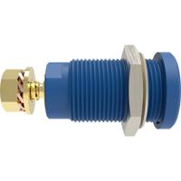 Schützinger DI SEB 9424 Au / BL Veiligheids-inbouwbus Recht Blauw 1 stuk(s)