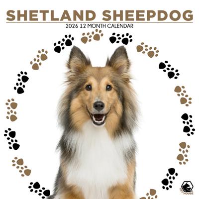 Shetland Sheepdog Kalender 2026