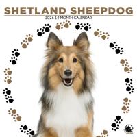 Shetland Sheepdog Kalender 2026